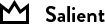 Salient Test Website